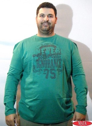 Camiseta hombre verde 16616 